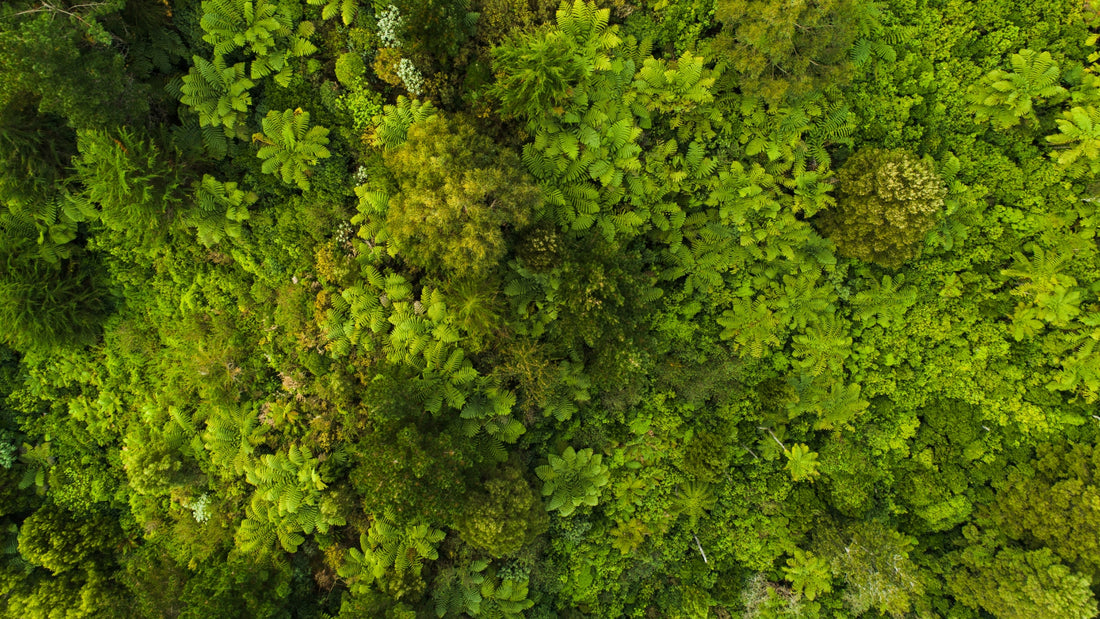 Embracing Sustainability: Mediterranea's Commitment to Eco-Friendly 3D Printing