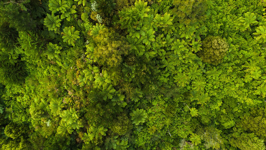 Embracing Sustainability: Mediterranea's Commitment to Eco-Friendly 3D Printing